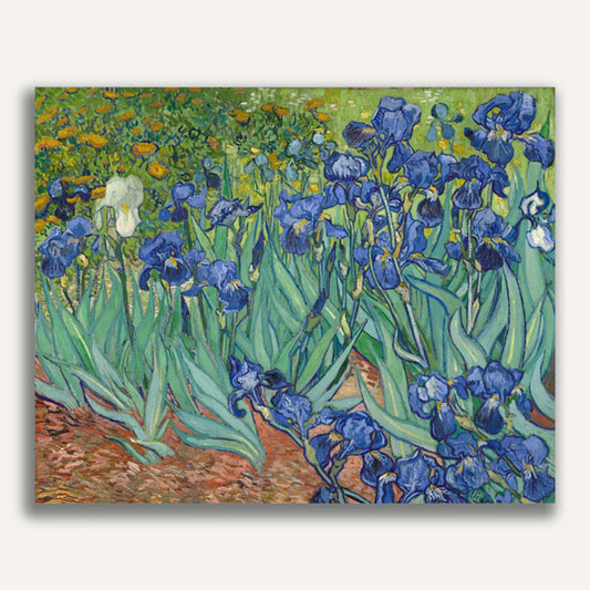 Irises Paint by Numbers