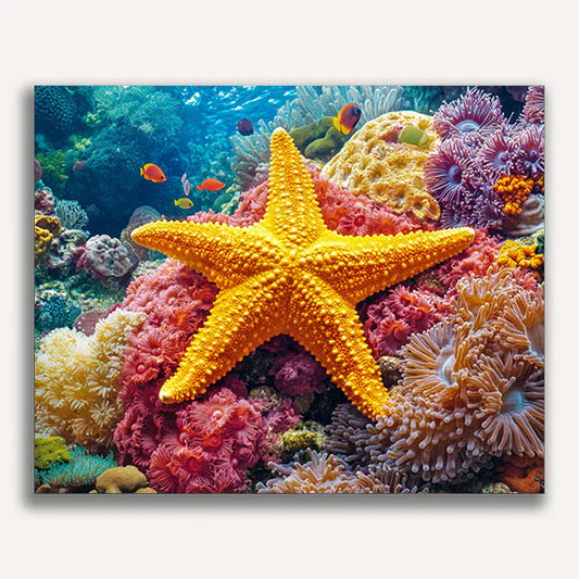 Starfish on a Coral Reef Paint by Numbers