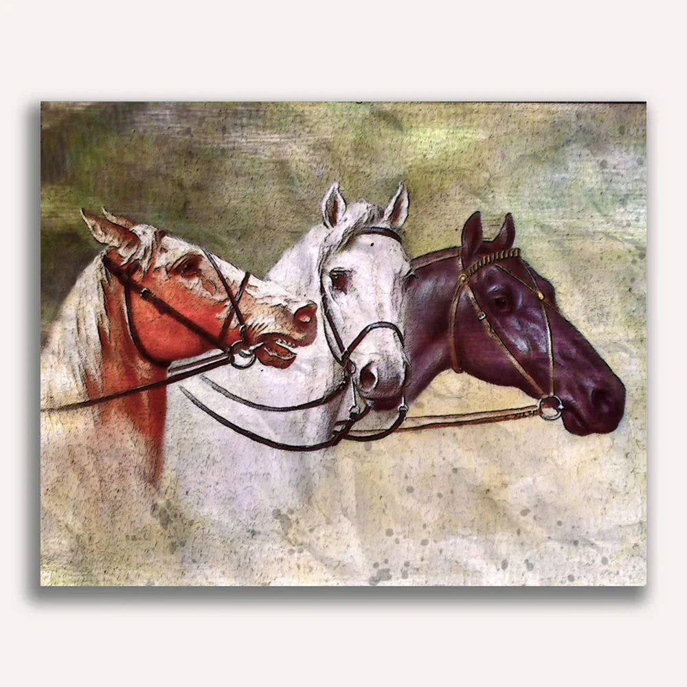 Three horses driving together Paint by Numbers