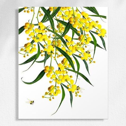 The Golden Wattle