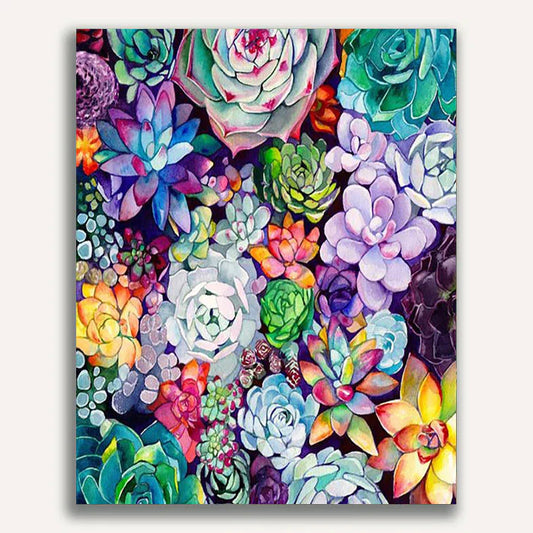 Succulents Paint by Numbers