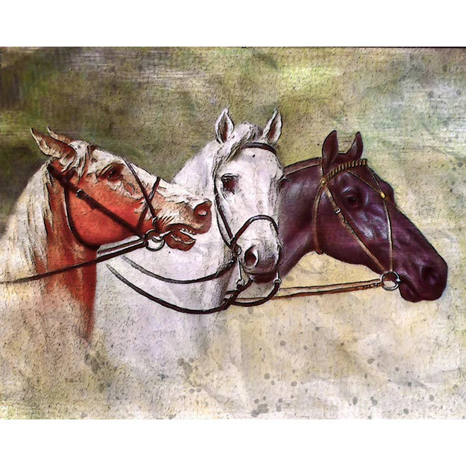 Three horses driving together Paint by Numbers