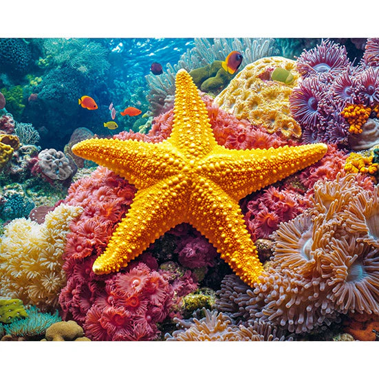 Starfish on a Coral Reef Paint by Numbers