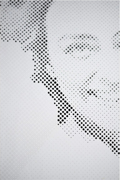 Recreate Your Photo with Dots