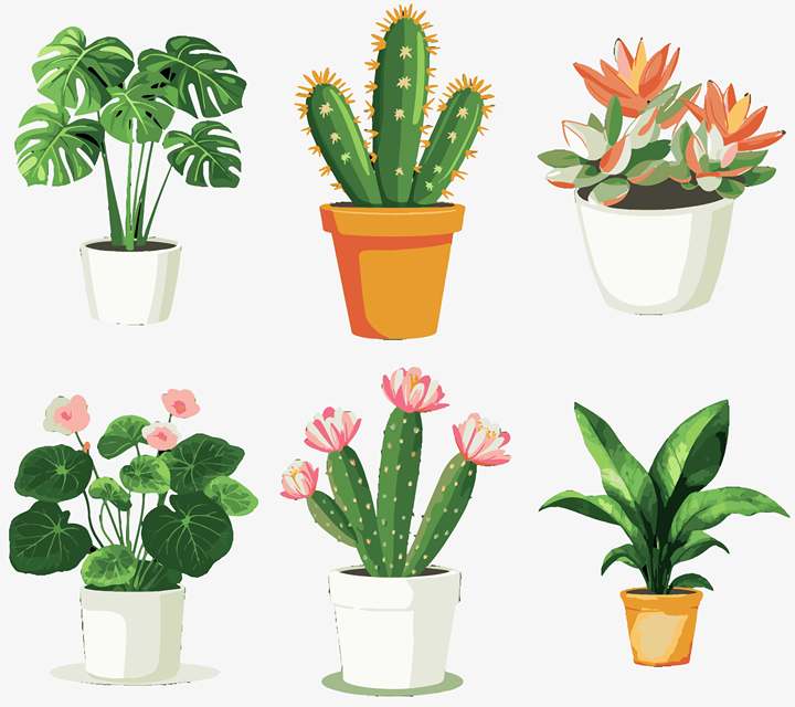 'vegetative' - 6-in-1 Set