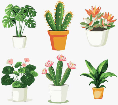 'vegetative' - 6-in-1 Set