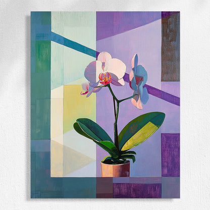 Orchid Dreams