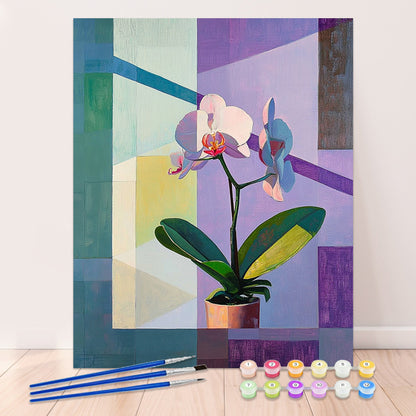 Orchid Dreams