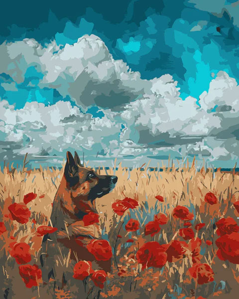 sky shepherd
